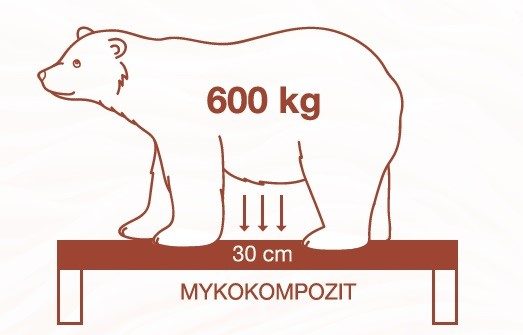 Obsah obrázku kresba, savec, medvěd, text
Popis byl vytvořen automaticky